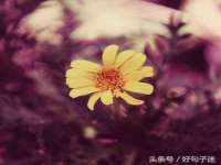 江西长普网络科技有限公司