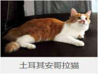 江西长普网络科技有限公司